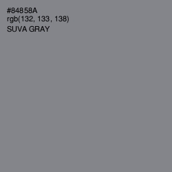 #84858A - Suva Gray Color Image